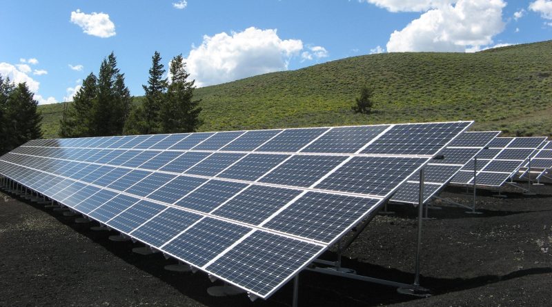 Rows of solar panels on a field with trees in the background